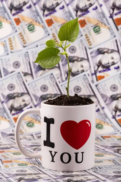 A young sprout with leaves in a mug against the background of 100 American dollar bills