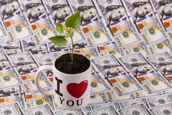 A young sprout with leaves in a mug against the background of 100 American dollar bills