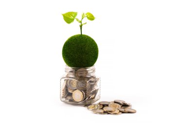 Yeşil yapraklı genç bir filiz, sembolik yeşil bir gezegen ve beyaz bir arka planda 100 ve 200 Kazak tenli bozuk paralarla dolu bir cam kavanoz.