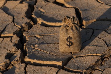 Çölde kurumuş kil üzerinde Amerikan doları sembolü olan para çantası.