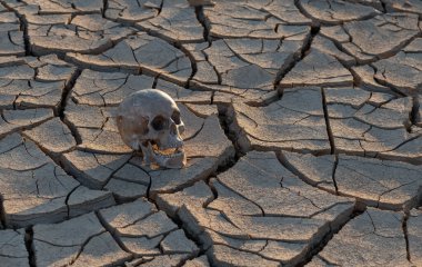 Çöldeki sıcaktan çatlamış kilin üzerinde yatan bir insan kafatası.