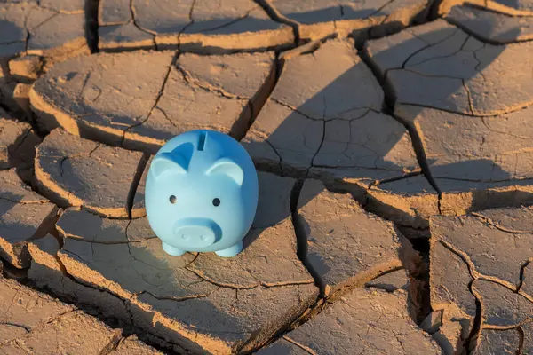 Blue piggy bank against the background of heat-cracked clay in the desert