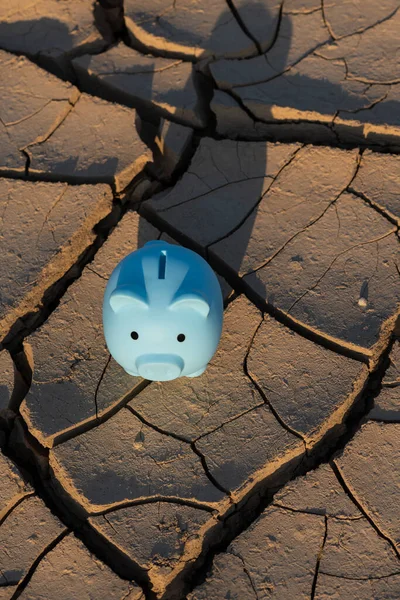 Blue piggy bank against the background of heat-cracked clay in the desert