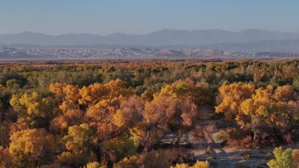 Bir Sonbahar Akşamı Almaty Bölgesinde Kazakistan Kurak Bir Bölgede Asya — Stok video