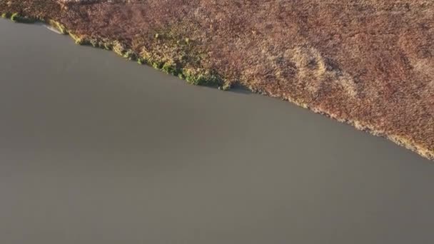 Vista Quadricottero Delle Pittoresche Isole Sul Fiume Ili Nella Regione — Video Stock