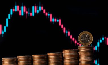 Finansal tablosu olan 1 İngiliz poundu.