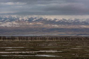 Bir sonbahar günü Kazak şehri Saryozek yakınlarındaki Dzhungar Alatau 'nun pitoresk etekleri.