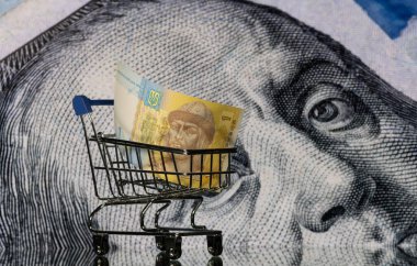 Minyatür bir alışveriş sepetinde 1 Ukrayna Hryvnia banknotu