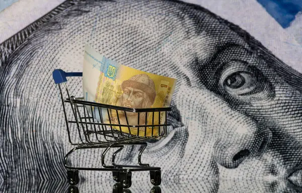 Minyatür bir alışveriş sepetinde 1 Ukrayna Hryvnia banknotu