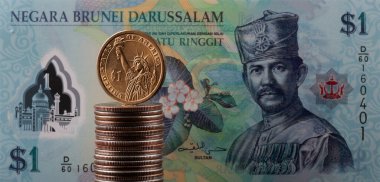 Brunei 1 dolar ve 1 dolar.