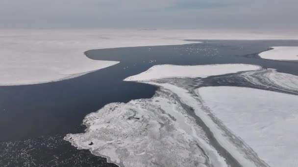 Вид Квадрокоптера Безледное Озеро Различные Водяные Пузыри Нем — стоковое видео