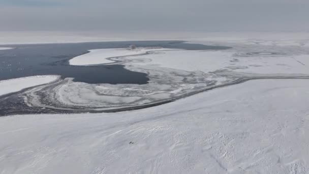 Вид Квадрокоптера Озера Льоду Різних Водоплавних Птахів Ньому — стокове відео