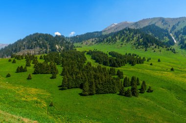 Kok-Zhailau, Kazakistan 'daki Almaty şehrinden 10 km uzakta, doğudan batıya Küçük ve Büyük Almaty geçitleri arasında yer alan Ile-Alatau Eyaleti Ulusal Doğal Parkı' nın bir bölgesidir..