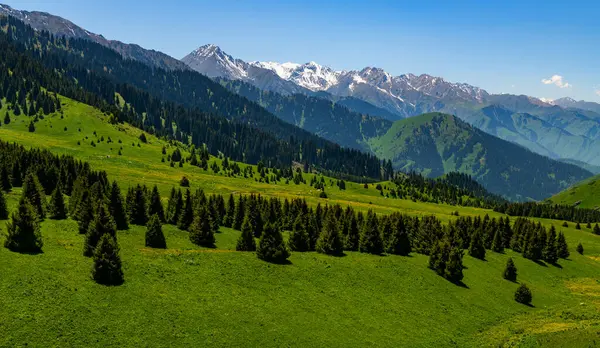 Kok-Zhailau, Kazakistan 'daki Almaty şehrinden 10 km uzakta, doğudan batıya Küçük ve Büyük Almaty geçitleri arasında yer alan Ile-Alatau Eyaleti Ulusal Doğal Parkı' nın bir bölgesidir..