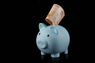 Mavi kumbara ve 100 Rus rublesi.