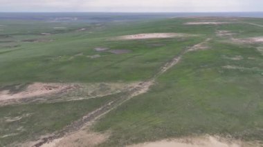 Bir bahar günü Almaty şehrinin kuzeyinde, Kazakistan 'ın güneydoğusundaki bir tepelik vadiden görüntüyü izliyoruz.