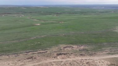 Bir bahar günü Almaty şehrinin kuzeyinde, Kazakistan 'ın güneydoğusundaki bir tepelik vadiden görüntüyü izliyoruz.