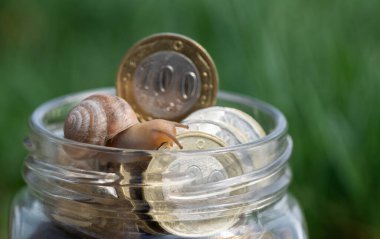 A snail crawls over coins of 100 and 200 Kazakhstani tenge in a glass jar clipart