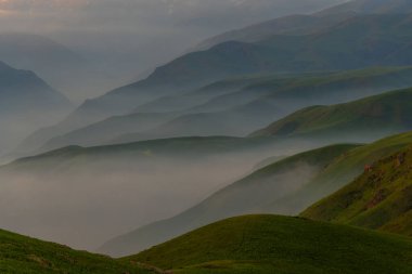 Almaty bölgesinde (Kazakistan) sisli resimli yüksek dağ yaylası)