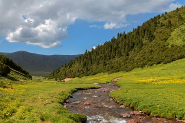 Güneydoğu Kazakistan 'da bir yaz günü nehri olan yüksek dağ geçidi.