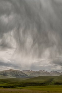 Güneydoğu Kazakistan 'daki yüksek bir dağ platosunun üzerine şiddetli yağmur yağdı.