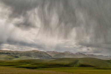 Güneydoğu Kazakistan 'daki yüksek bir dağ platosunun üzerine şiddetli yağmur yağdı.
