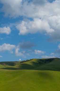 Yaz başında Kazakistan 'ın güneydoğusunda pitoresk bir yüksek dağ yaylası.