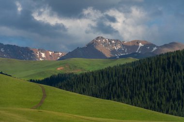 Yaz başında Kazakistan 'ın güneydoğusunda pitoresk bir yüksek dağ yaylası.