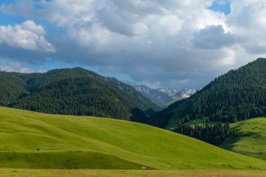 Yaz başında Kazakistan 'ın güneydoğusunda pitoresk bir yüksek dağ yaylası.