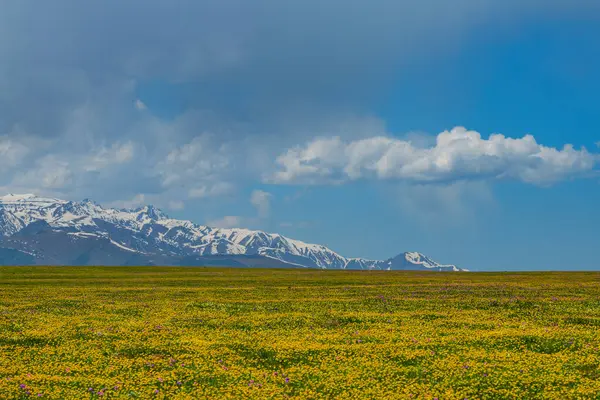 stock image A picturesque high mountain plateau in the southeast of Kazakhstan in early summer