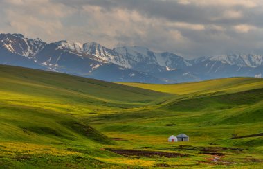 Güneydoğu Kazakistan 'da, bulutlu bir yaz gününde, hafif noktalı yüksek bir dağ platosunun ortasında iki çadır.