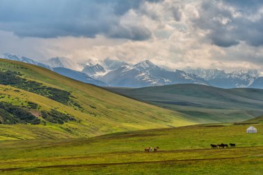 Bulutlu bir yaz gününde, Kazakistan 'ın güneydoğusundaki resim gibi yüksek bir dağ platosu.