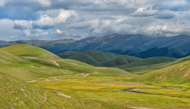 Bulutlu bir yaz gününde, Kazakistan 'ın güneydoğusundaki resim gibi yüksek bir dağ platosu.
