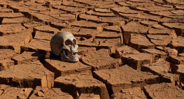 Çöldeki sıcaktan çatlamış kilin üzerinde yatan bir insan kafatası.