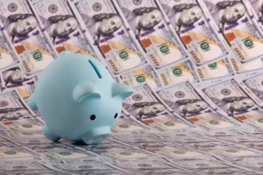100 dolarlık banknotların arka planında mavi domuz kumbarası