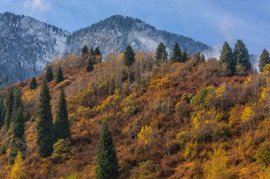 Picturesque autumn views in the Trans-Ili Alatau mountains in the vicinity of the Kazakh city of Almaty after the first light snow clipart