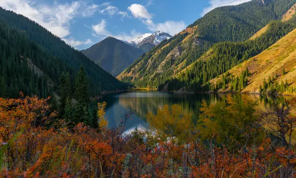 Kazakistan 'ın Almaty bölgesindeki Kolsai Gölü' nün resimli sonbahar manzarası