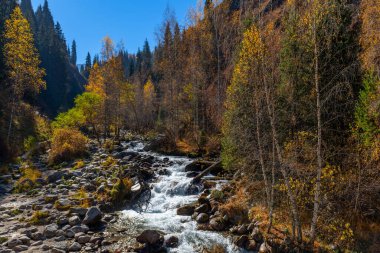 Kazak şehri Almaty 'de bir sonbahar gününde dağ nehri.