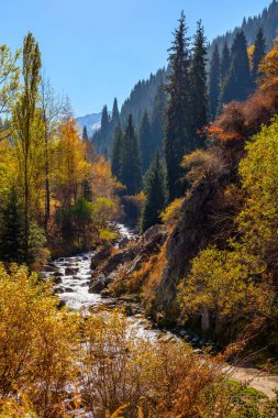 Kazak şehri Almaty 'de bir sonbahar gününde dağ nehri.