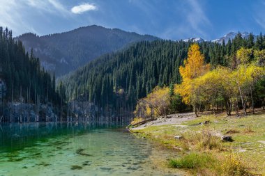 Picturesque Lake Kaindy in the Trans-Ili Alatau mountains near the Kazakh city of Almaty clipart