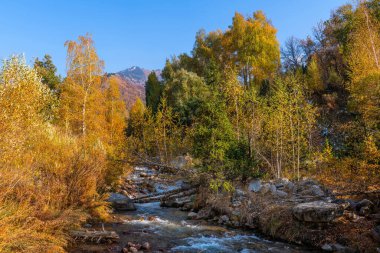 Kazak şehri Almaty 'de bir sonbahar gününde dağ nehri.