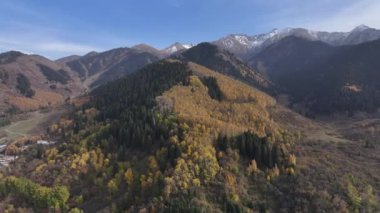 Almaty bölgesi, Kazakistan, 10.05.2024. Trans-Ili Alatau dağlarının resimli yamaçlarında bir sonbahar akşamı Kazakistan 'ın güneydoğusunda sarı ağaçlar ve köknar ağaçları vardı.