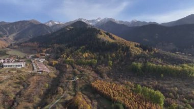 Almaty bölgesi, Kazakistan, 10.05.2024. Trans-Ili Alatau dağlarının resimli yamaçlarında bir sonbahar akşamı Kazakistan 'ın güneydoğusunda sarı ağaçlar ve köknar ağaçları vardı.