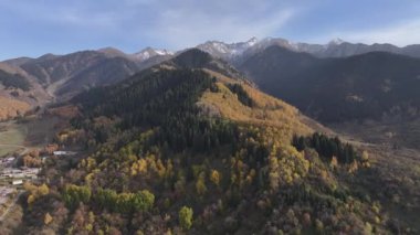 Almaty bölgesi, Kazakistan, 10.05.2024. Trans-Ili Alatau dağlarının resimli yamaçlarında bir sonbahar akşamı Kazakistan 'ın güneydoğusunda sarı ağaçlar ve köknar ağaçları vardı.
