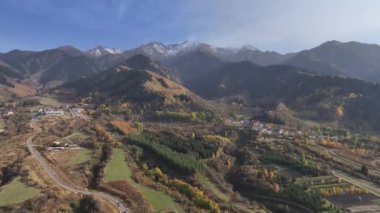Almaty bölgesi, Kazakistan, 10.05.2024. Trans-Ili Alatau dağlarının resimli yamaçlarında bir sonbahar akşamı Kazakistan 'ın güneydoğusunda sarı ağaçlar ve köknar ağaçları vardı.