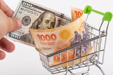 Banknotlar 1000 Arjantin pesosu ve 100 Amerikan doları.
