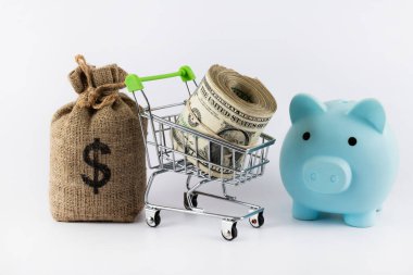 Amerikan doları, domuz kumbarası ve süpermarketten alışveriş arabası.