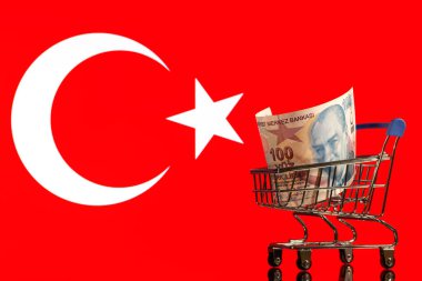 Türk bayrağının arka planına karşı 100 lira banknot