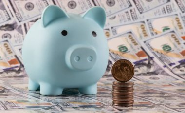 Domuz kumbarası, Amerikan paraları ve 100 dolarlık banknotlar.