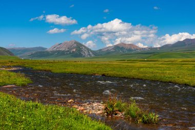 The Shalkode River on a high mountain plateau in the Almaty region in southeast Kazakhstan clipart